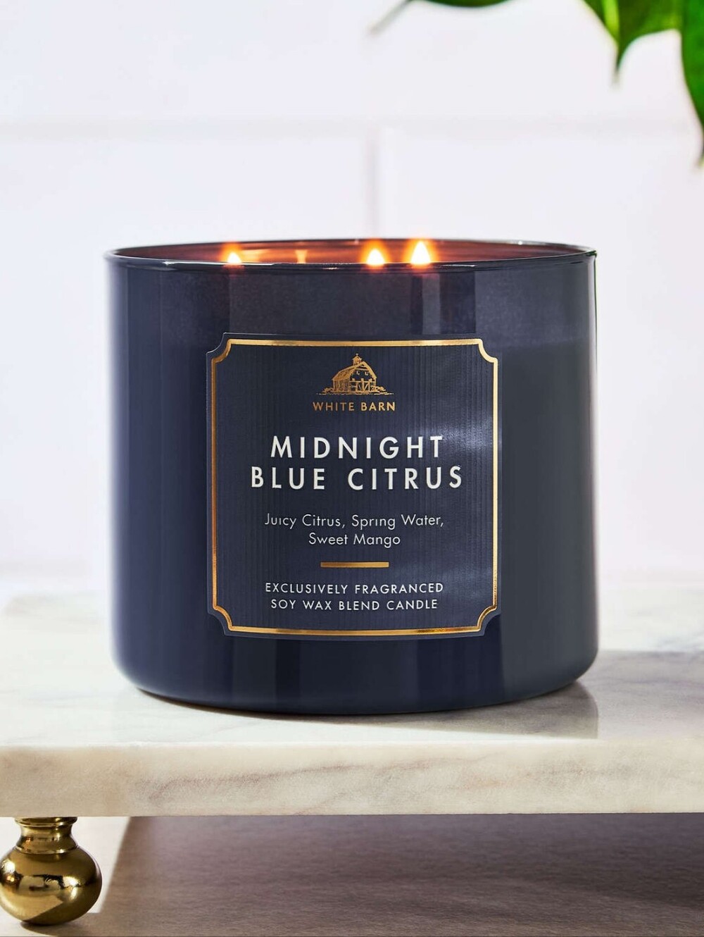 2/$30✨️Bath & Body Works Candle✨️